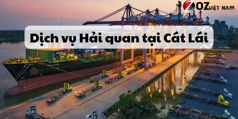 Mã HS nhập khẩu